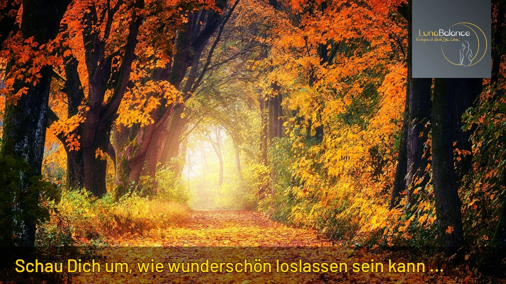 LunaBalance-Herbstimpulse-03