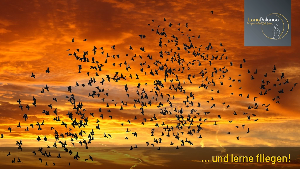 LunaBalance-Herbstimpulse-04