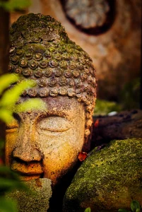 Buddha_meditieren